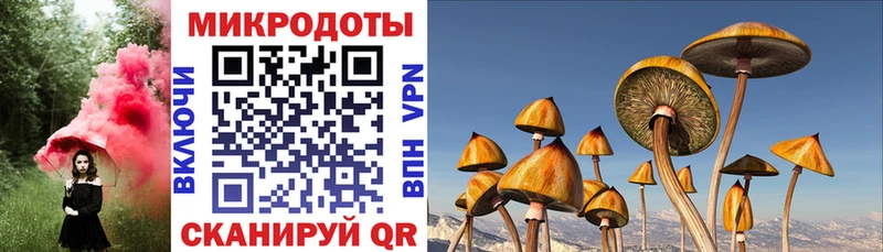 Купить  Межгорье  Псилоцибиновые грибы GOLDEN TEACHER 